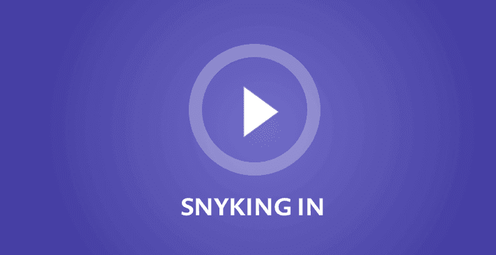 wordpress-sync/Snyking-in-small